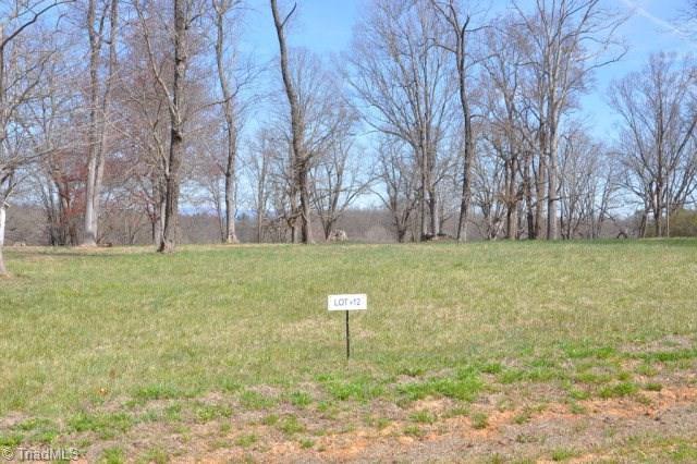 Lot #12 Holly Berry Lane - Photo 1