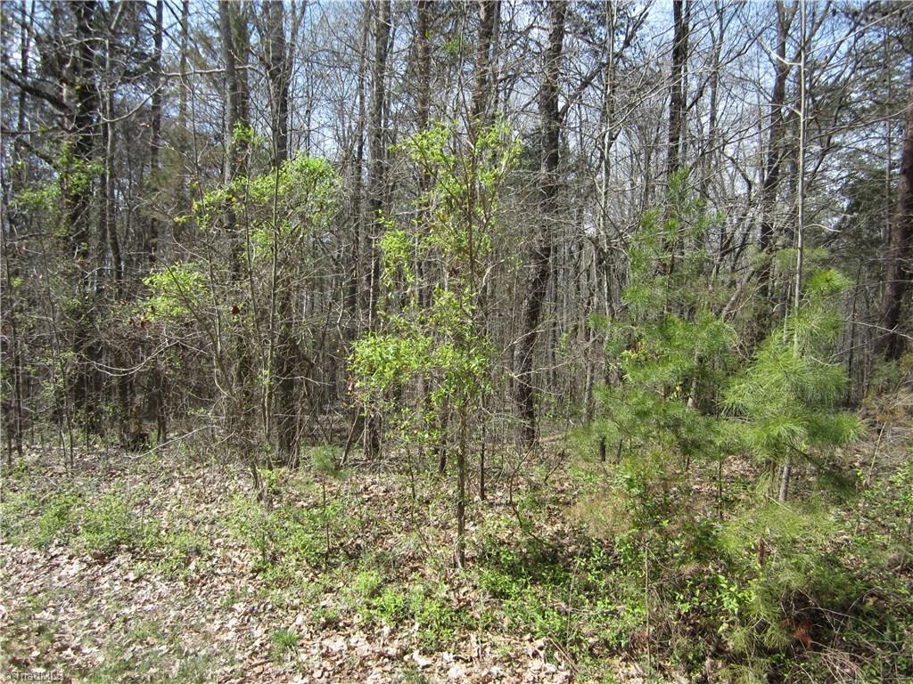 3040 Riverside Drive - Photo 1