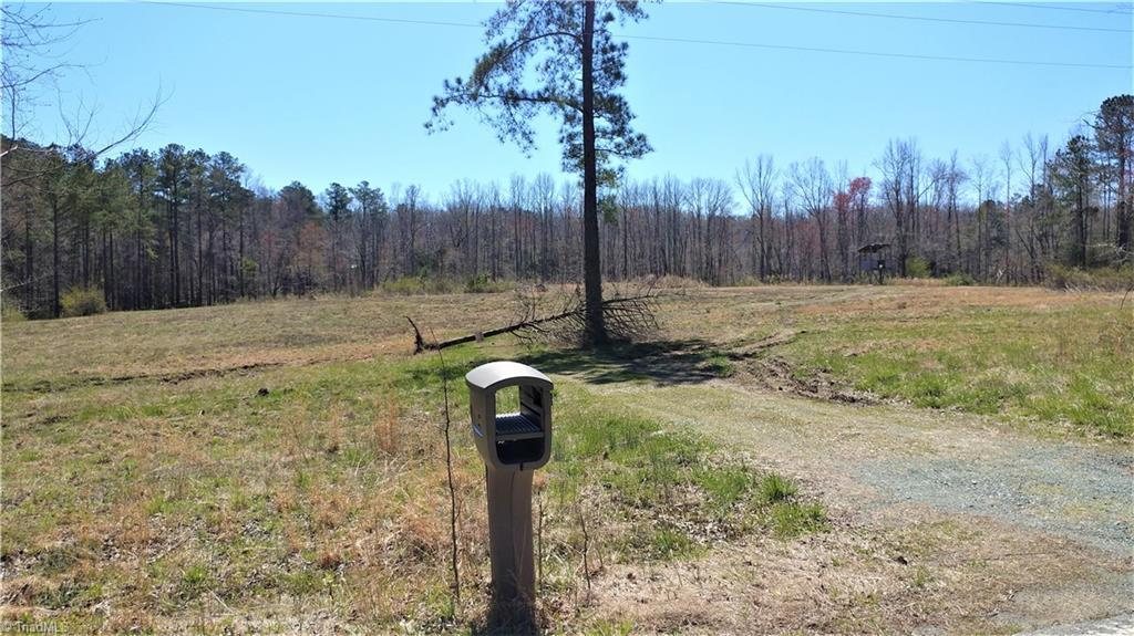 1600 Mount Willing Road - Photo 1