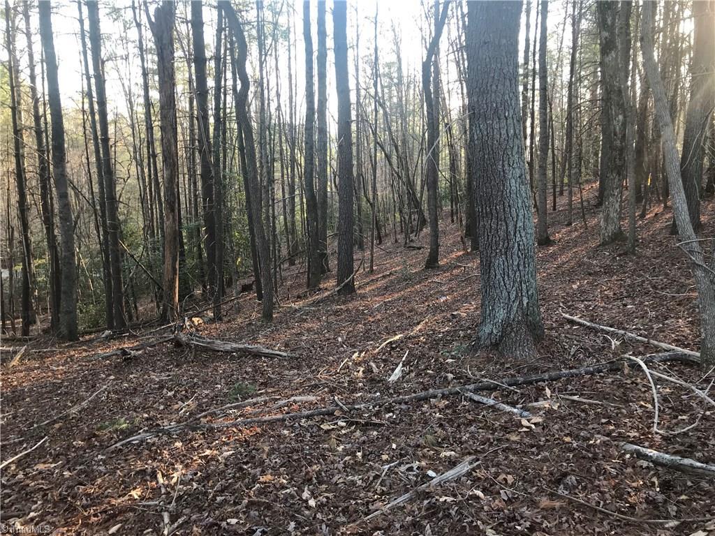 0 Jim Caudill Road - Photo 1