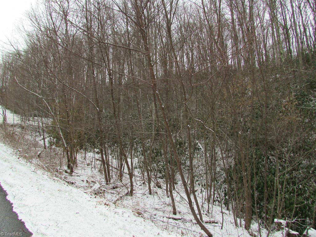 0 Roy E Brown Road - Photo 1