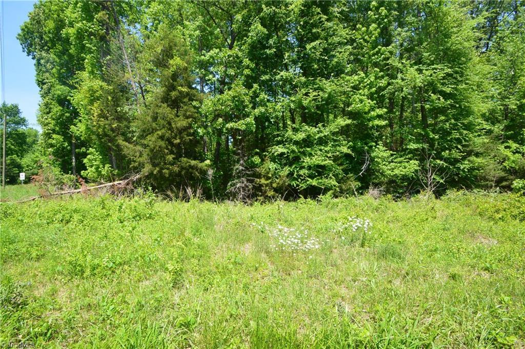 0 Timber Ridge Lake Road - Photo 1
