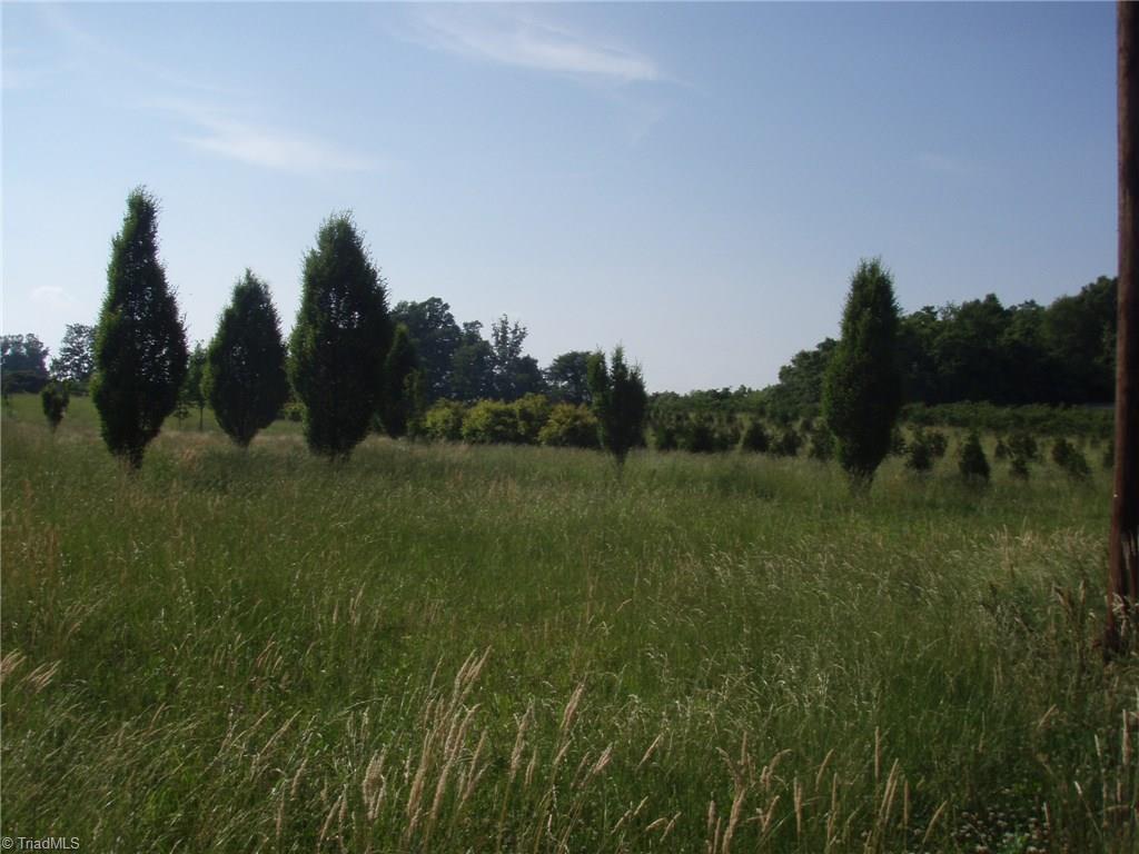 139 Hall Walker Lane - Photo 1