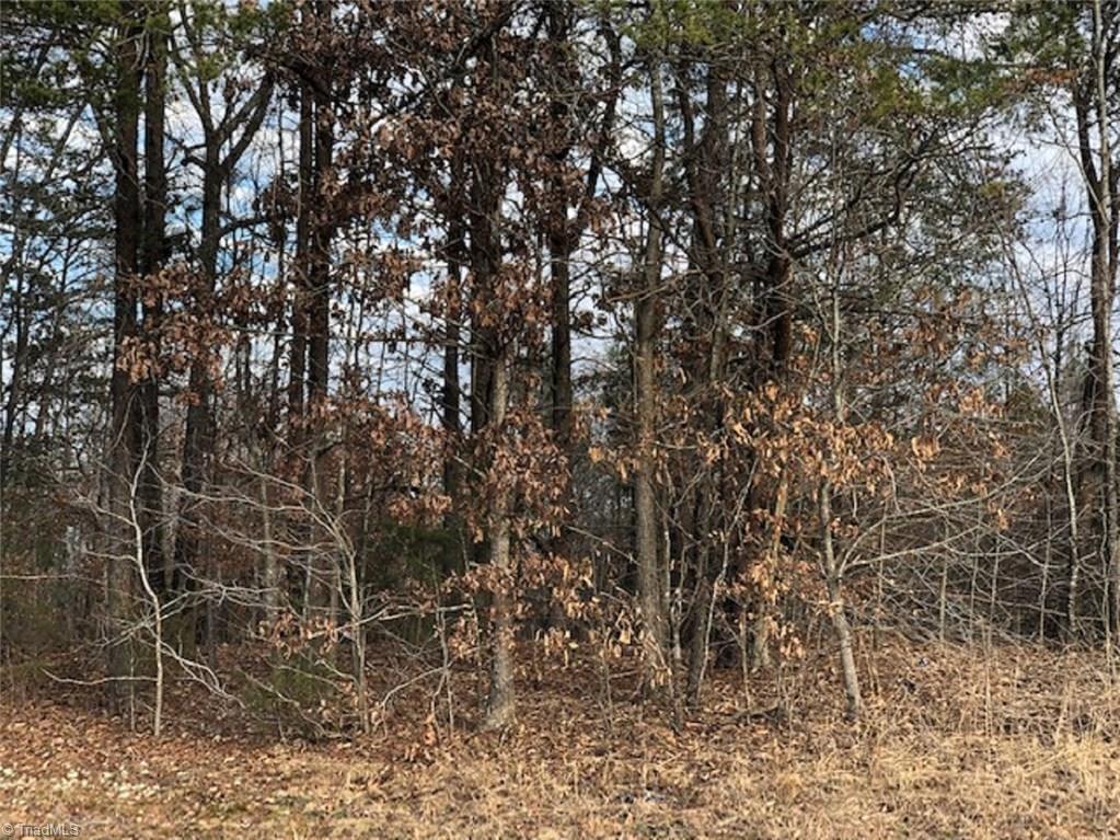 2 Wagon Wheel Road - Photo 1