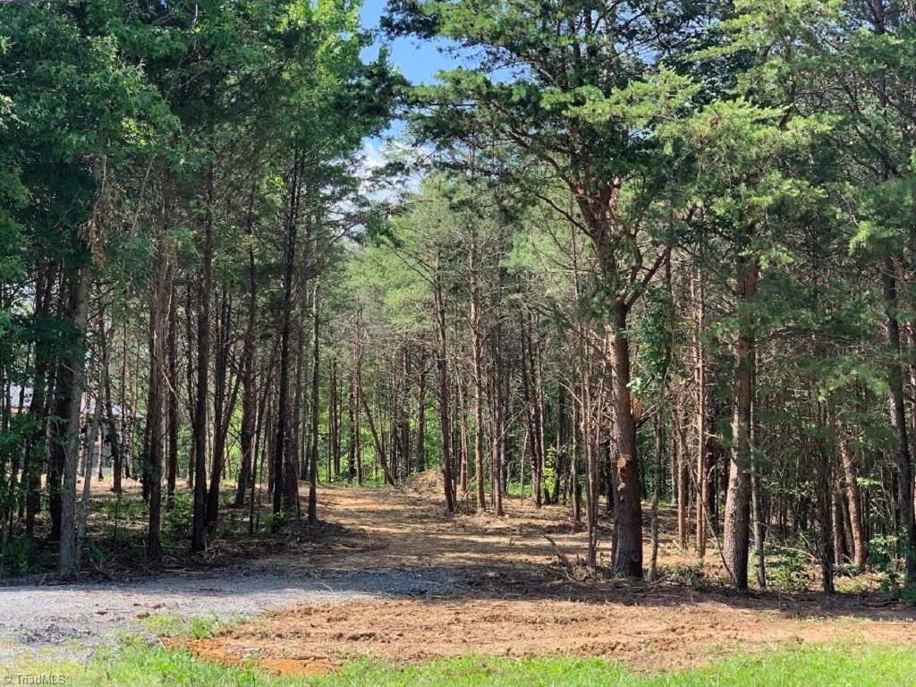 0 Country Lane - Photo 1