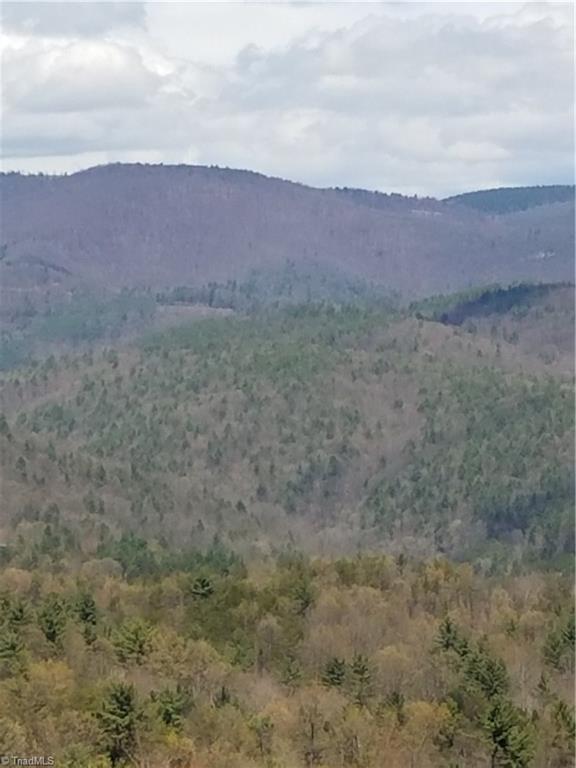 4 Deer Run - Photo 1