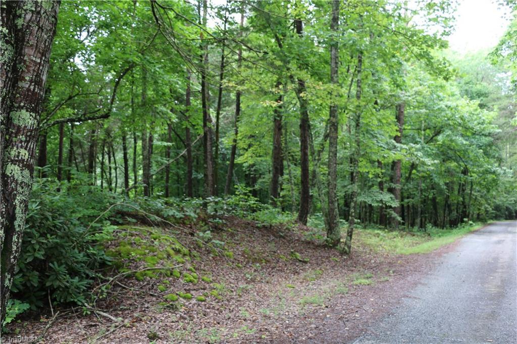 0 Whispering Pines Lane - Photo 1