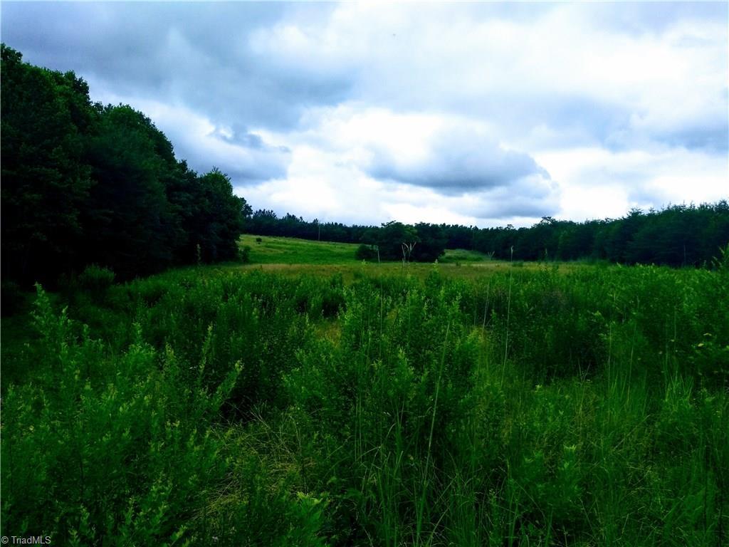 0 Beasley School Road - Photo 1