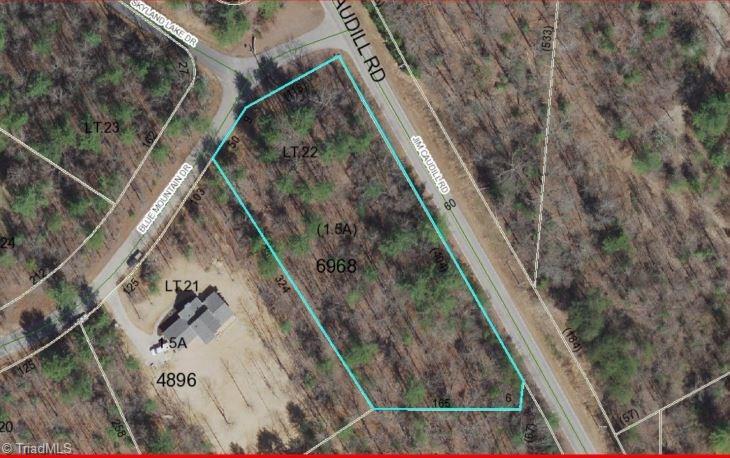 0 Blue Mountain Drive - Photo 1