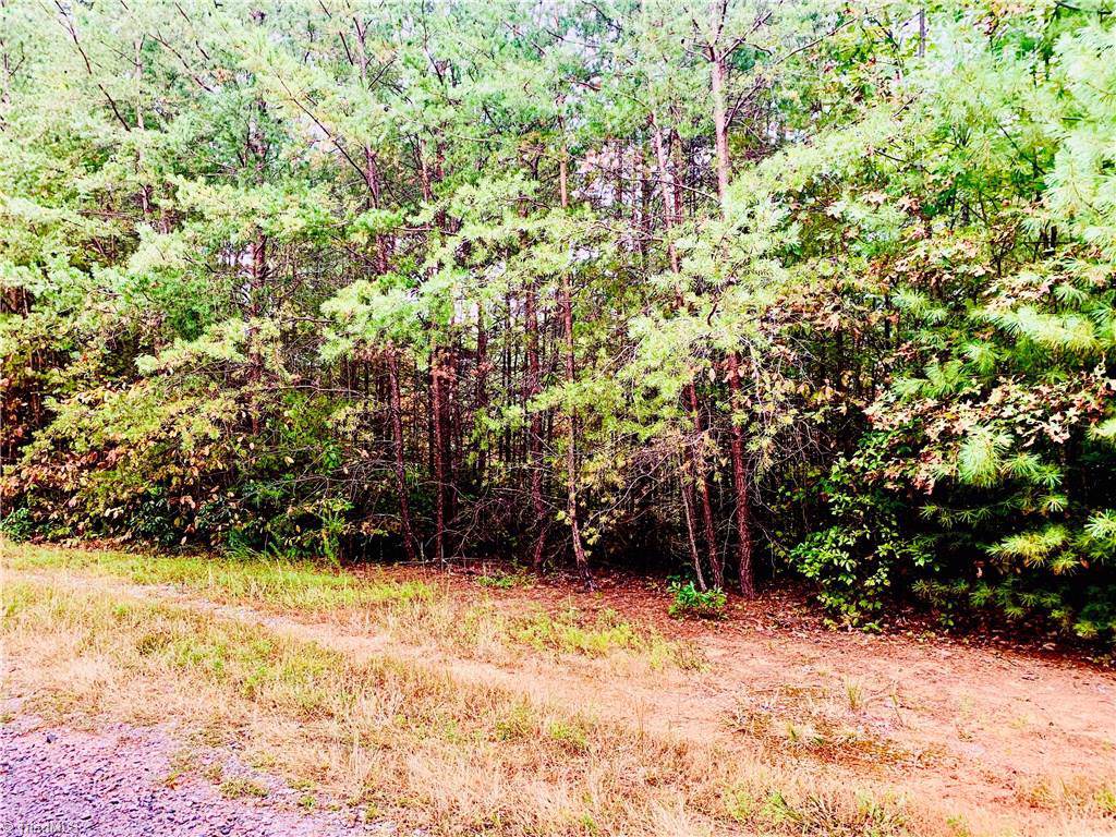 78 Deer Antler Drive - Photo 1 78 Deer Antler Drive - Photo 1