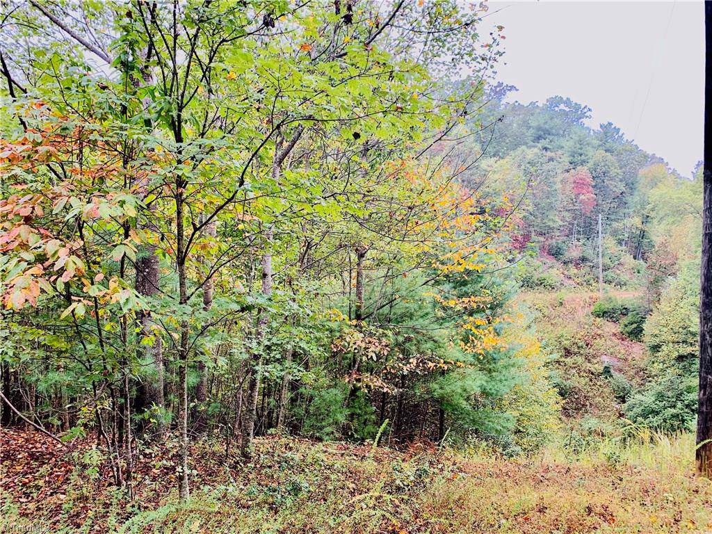 41 Bobcat Mountain Road - Photo 1 41 Bobcat Mountain Road - Photo 1