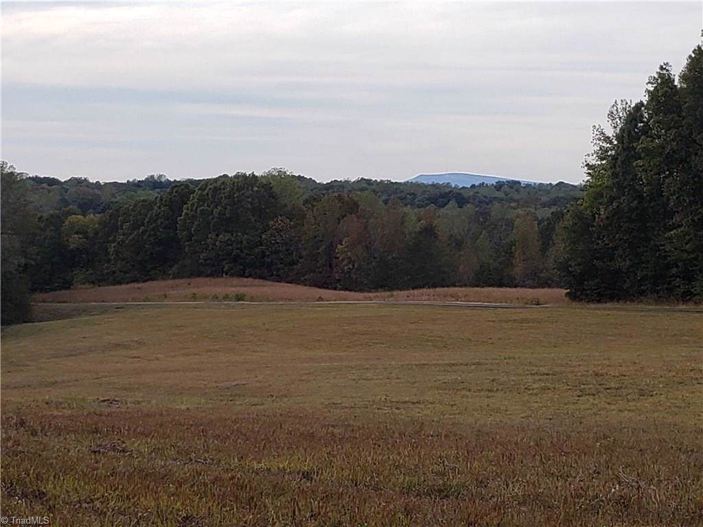 8664 Walnut Cove Road - Photo 1