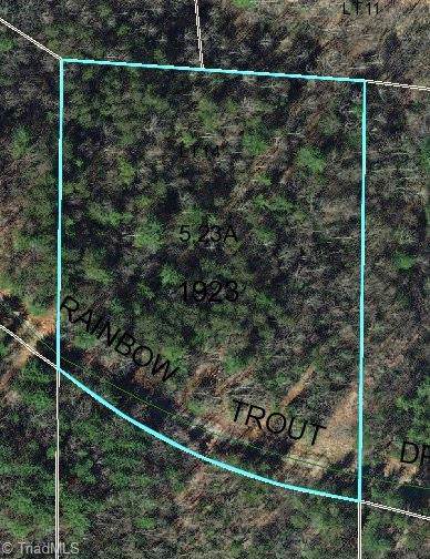 14 Rainbow Trout Drive - Photo 1