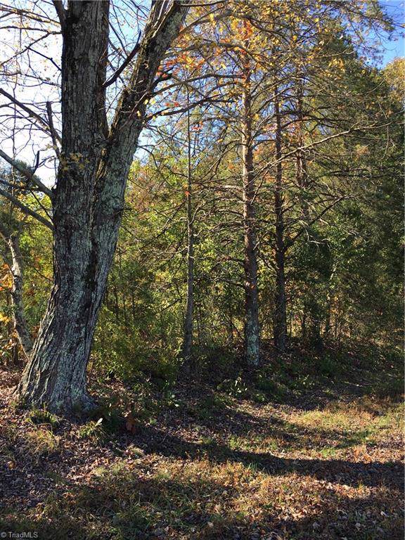 7 Bald Hill Loop - Photo 1