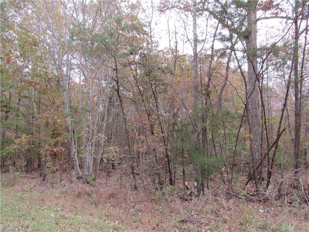 6 Shady Hollow Road - Photo 1