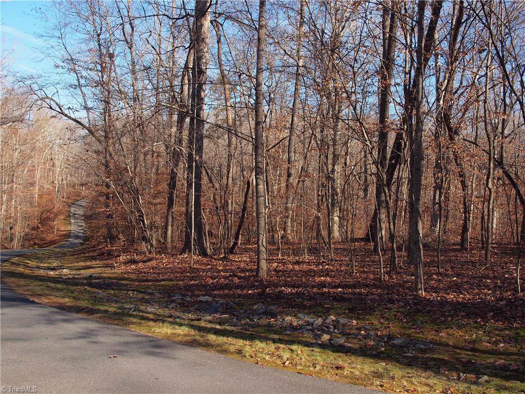 0 Bountiful Lane - Photo 1