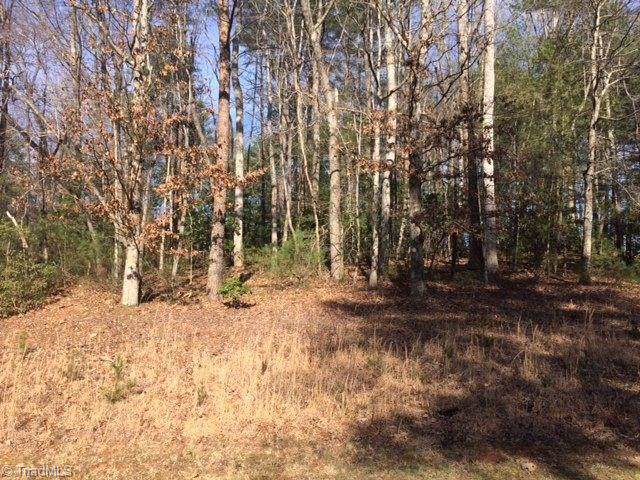 0 Holly Brook Street - Photo 1