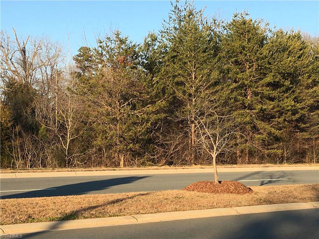 000 Grand Oaks Boulevard - Photo 1
