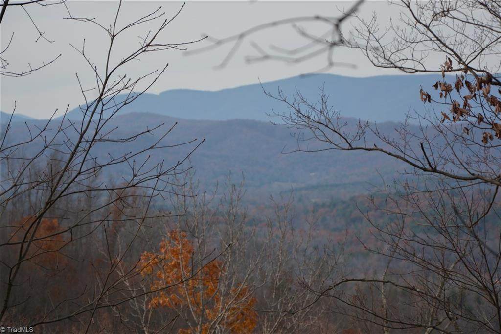 1407 Mars Mountain Place - Photo 1