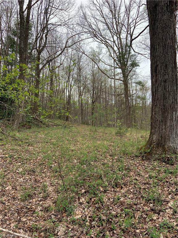 000 Wildcat Road - Photo 1