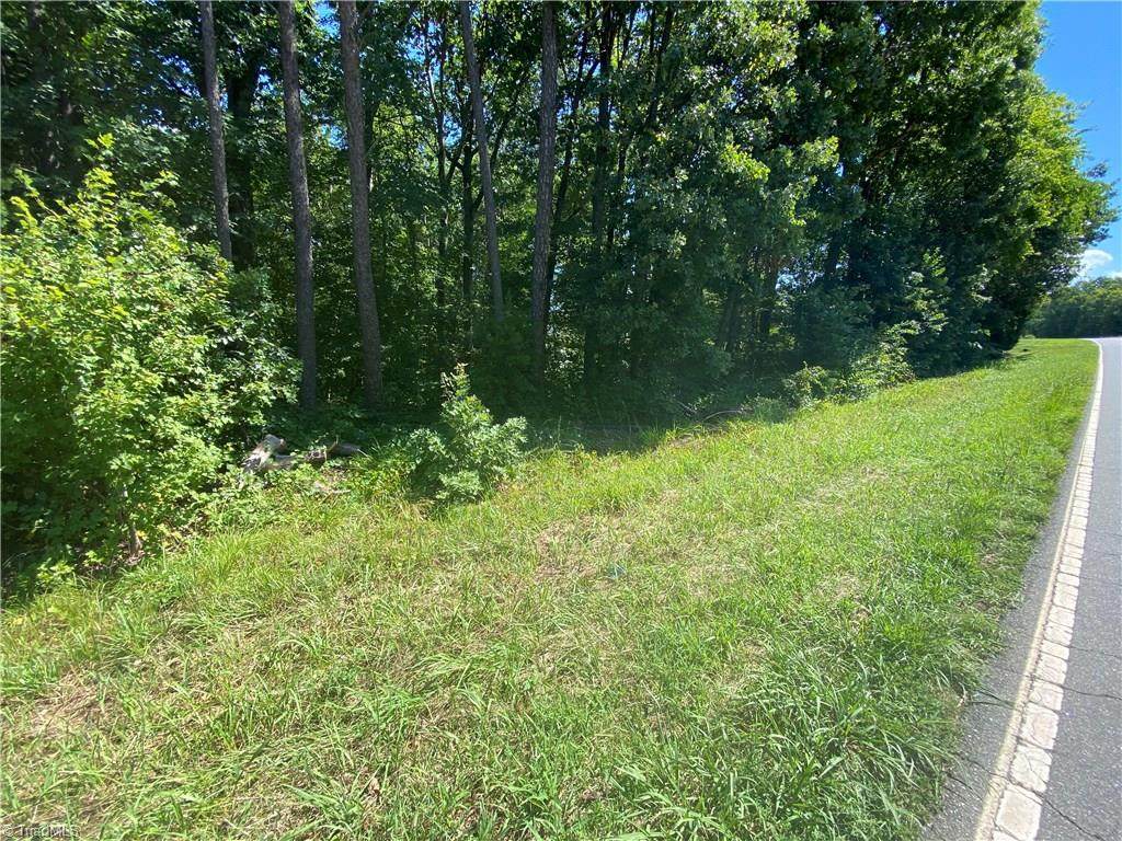 11.485+/- Acres Nc Highway 8 - Photo 1