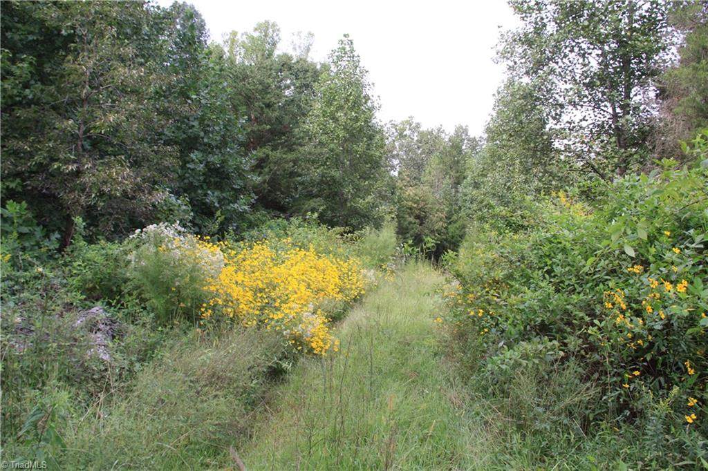 4565 Crews Lane - Photo 1