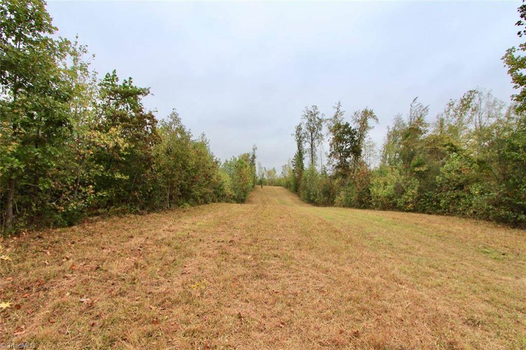 93+/- Neelley Road - Photo 1