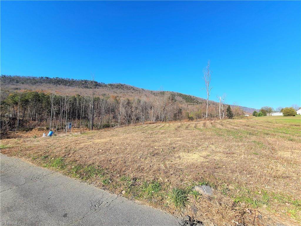 1060 Birdsong Road - Photo 1