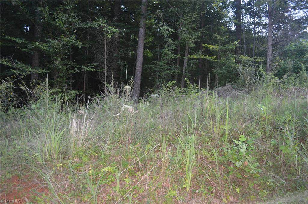 2320 Old Us Highway 421 - Photo 1