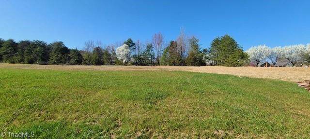 1002 Old Hickory Court - Photo 1