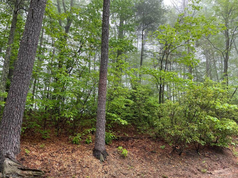 0 Green Ridge Road - Photo 1