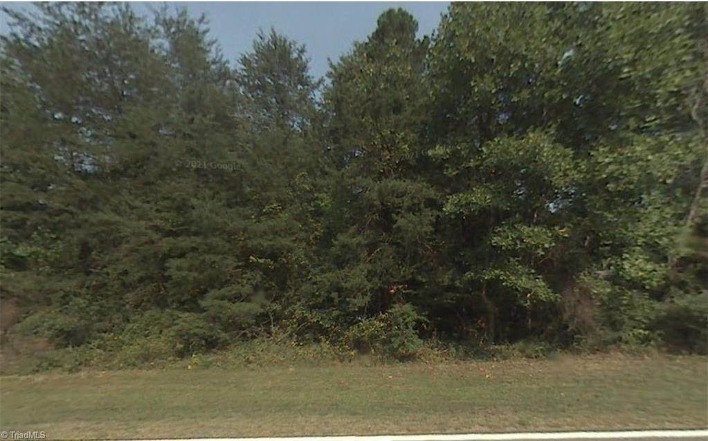 00000 Shiloh Church Road - Photo 1