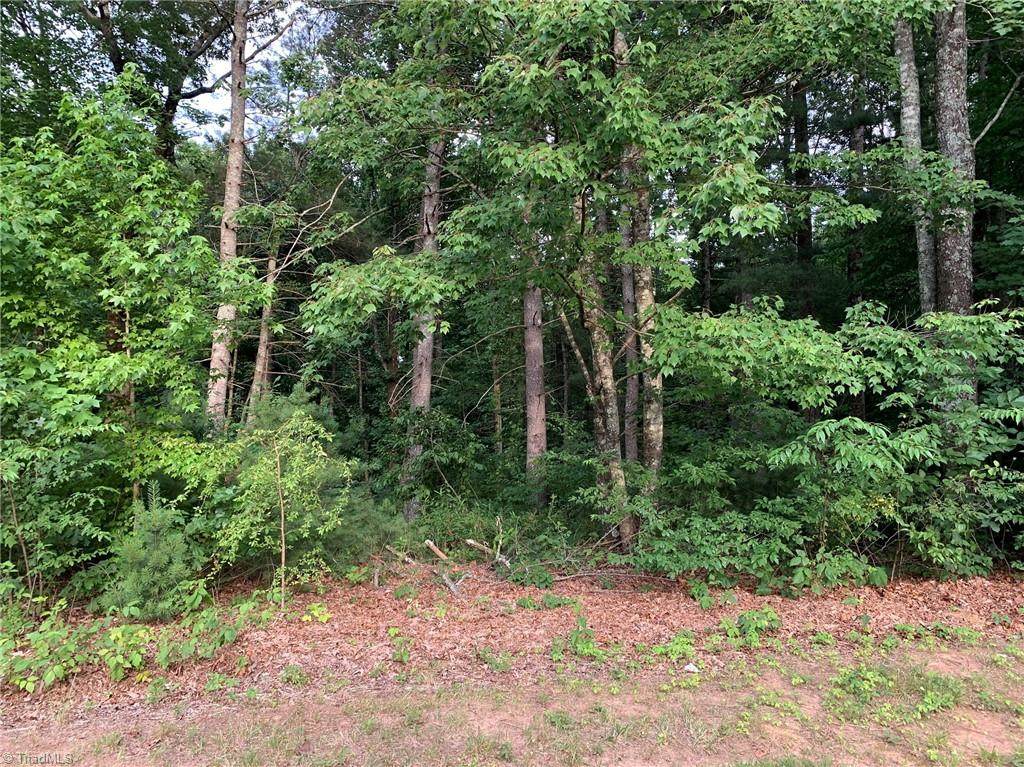 Lot 116 Monk Court - Photo 1