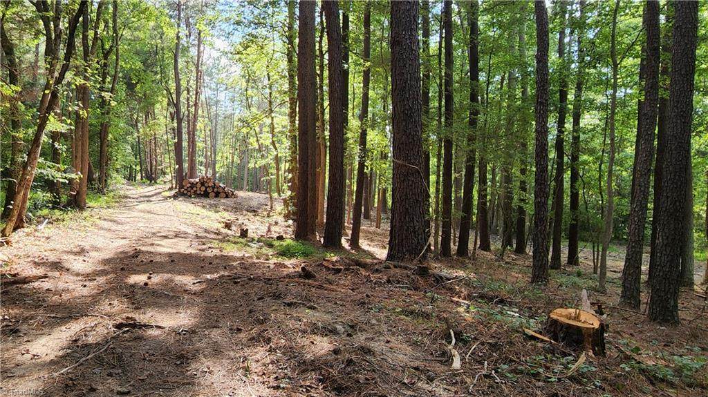 2000 Haith Fuller Trail - Photo 1