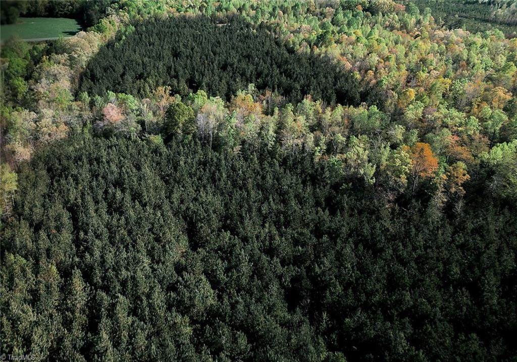 0 Old Nc Highway 13 - Photo 1