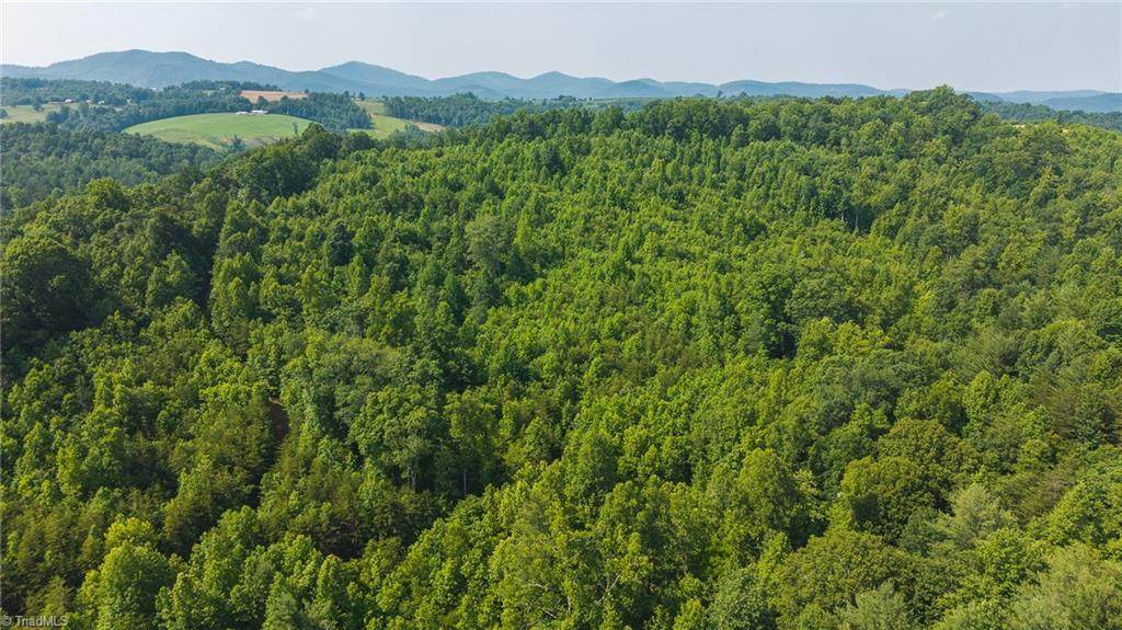 000 Old Vashti Road - Photo 1