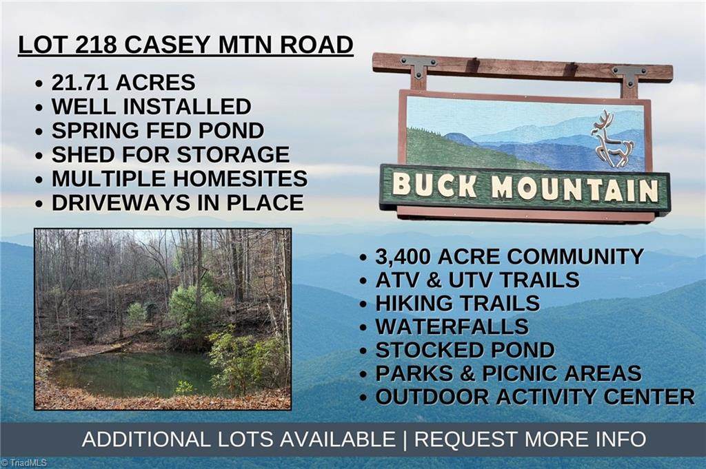 Lot 218 Casey Mountain Road - Photo 1
