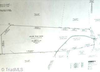 0 Lee Wilson Road - Photo 1