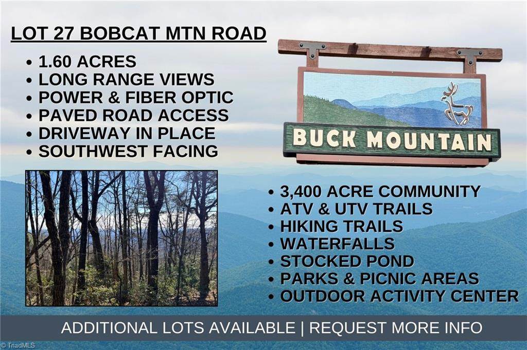 Lot 27 Bobcat Mountain Road - Photo 1