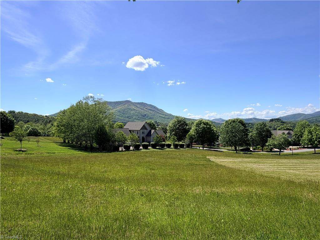 TBD (Lot 31) Olde Charter Circle - Photo 1