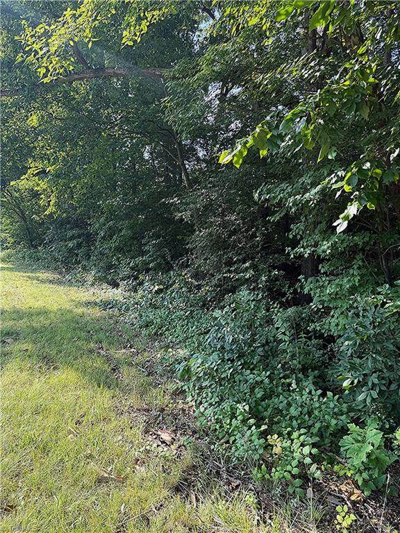 00 Us Highway 64 - Photo 1