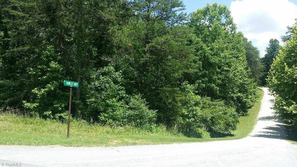 0 Hamlet Way Road - Photo 1