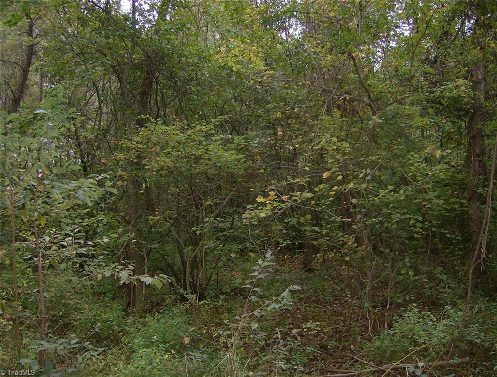 0 Wickham - Photo 1