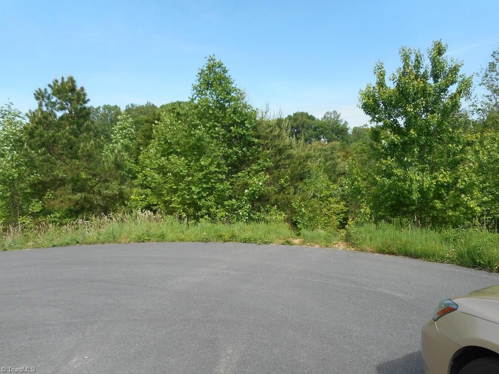 172 Lavender Lane - Photo 1
