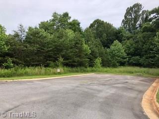 0 Veterans Drive - Photo 1