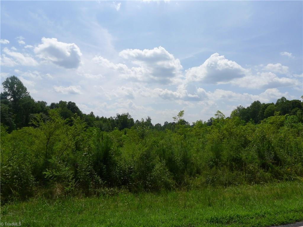 0 Schoolfield Road - Photo 1