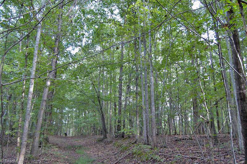 9245 Leak Branch Road - Photo 1