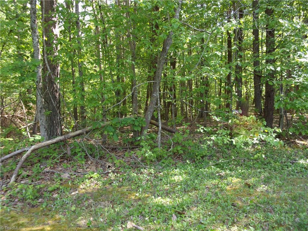 Merriweather Drive - Photo 1