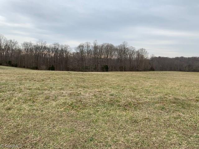 0 Oak Meadow Lane - Photo 1