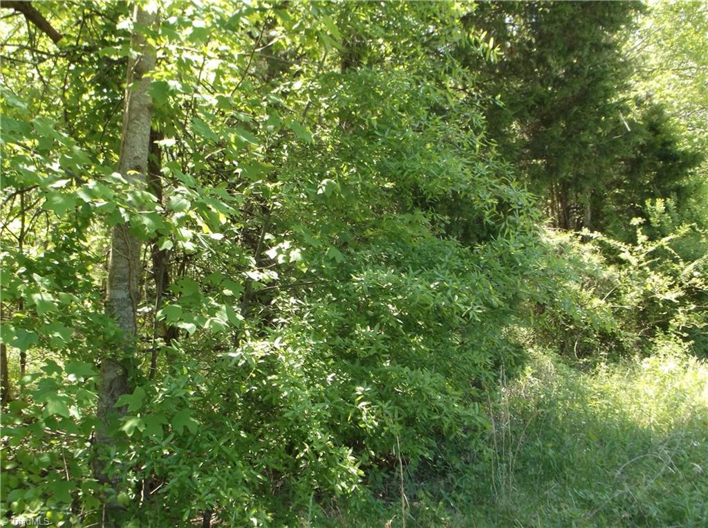 0 Goff Road - Photo 1